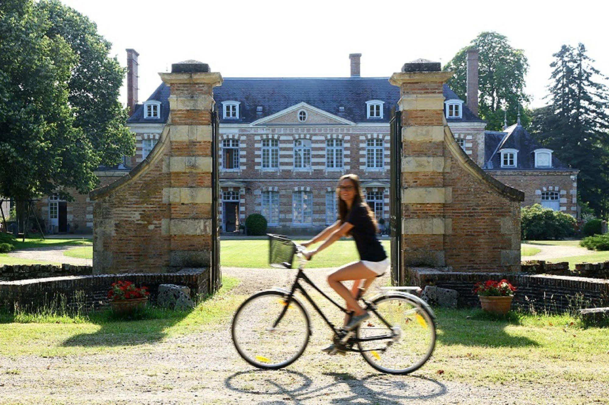 Chateau De La Giraudiere Villeny Exterior foto